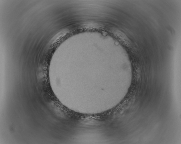 X0000112400824200909251434