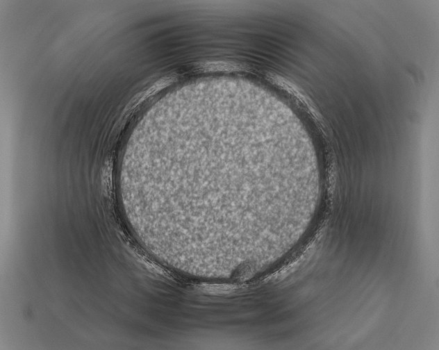 X0000112400825200909251434