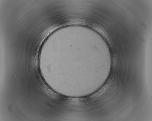 X0000112400828200909251434
