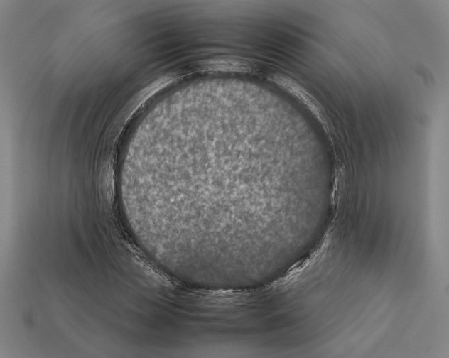 X0000112400829200909251434