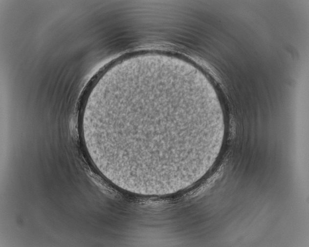 X0000112400830200909251434