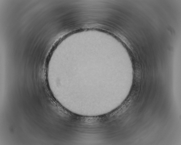X0000112400832200909251434