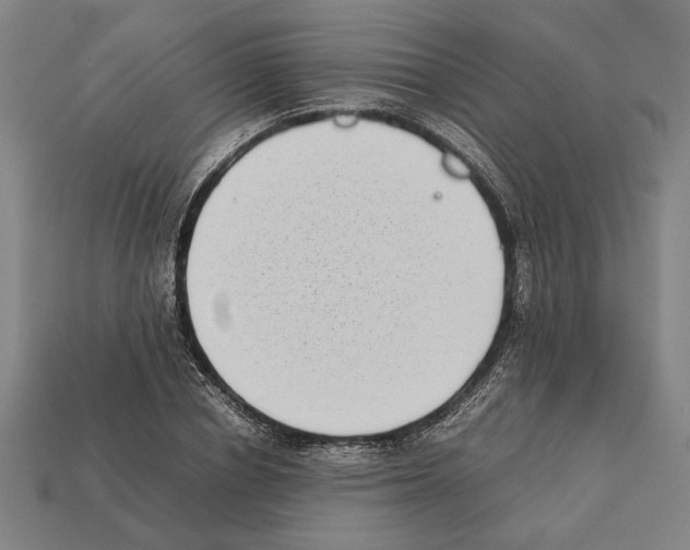 X0000112400834200909251434