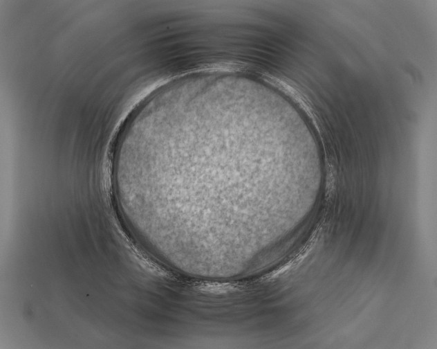 X0000112400835200909251434