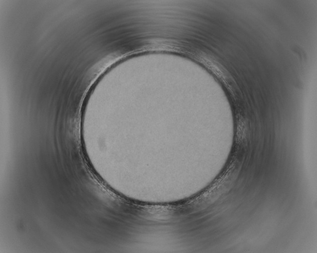 X0000112400836200909251434