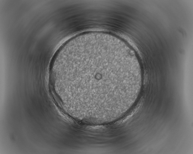X0000112400837200909251434