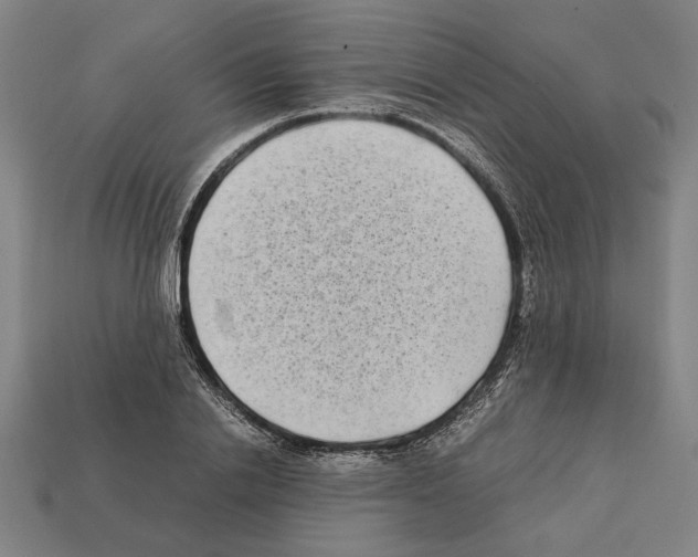 X0000112400838200909251434