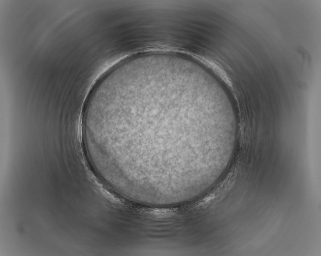 X0000112400839200909251434