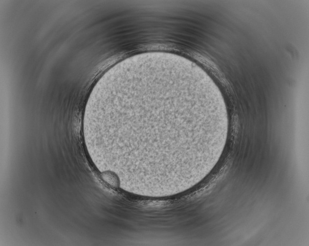 X0000112400841200909251434