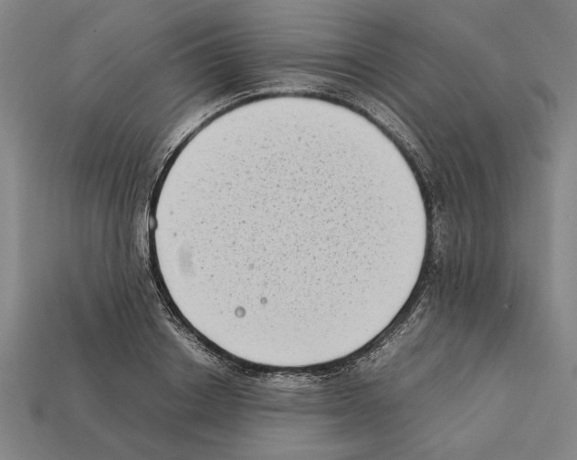 X0000112400842200909251434