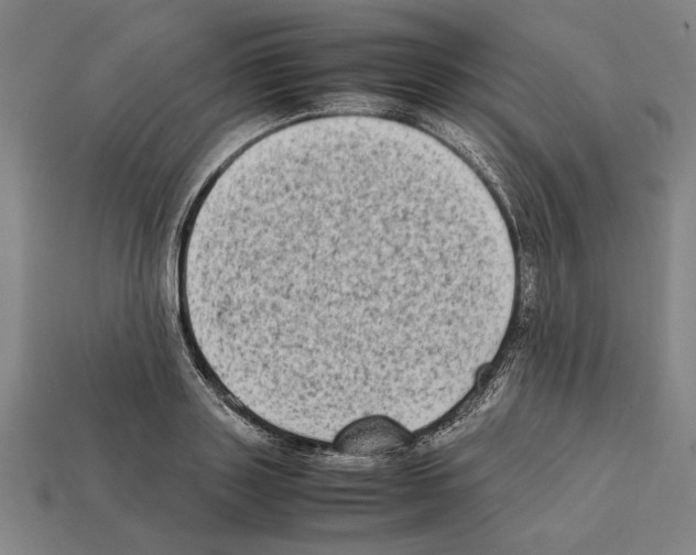 X0000112400843200909251434
