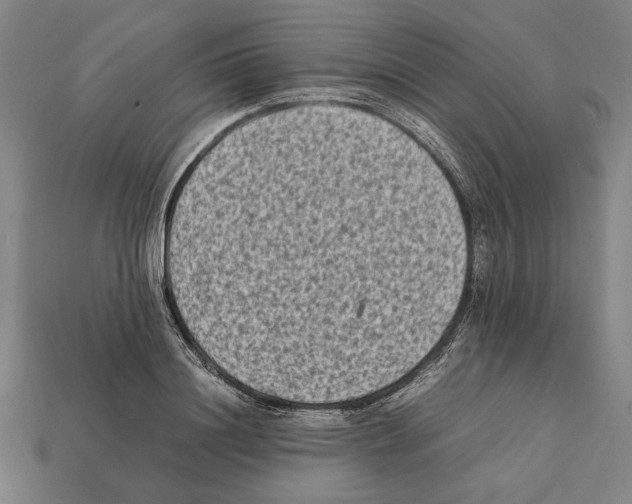 X0000112400844200909251434