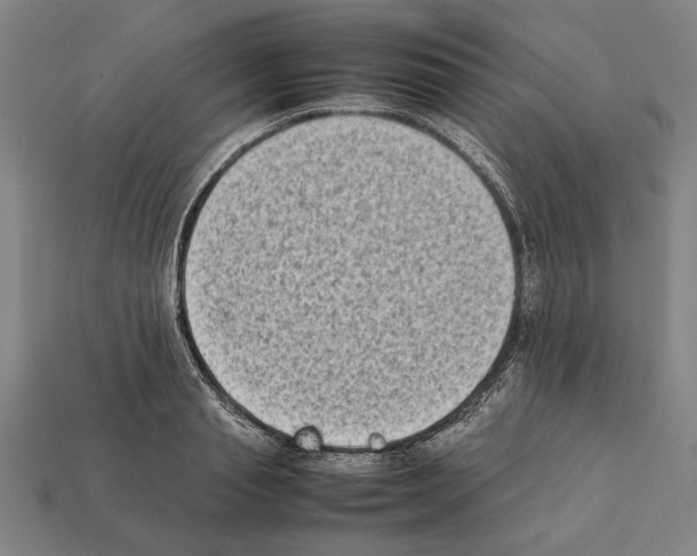 X0000112400845200909251434