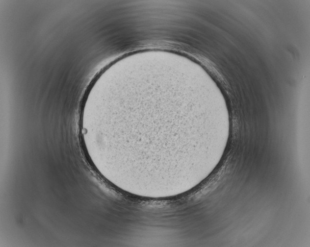 X0000112400846200909251434