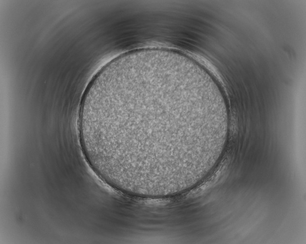 X0000112400847200909251434