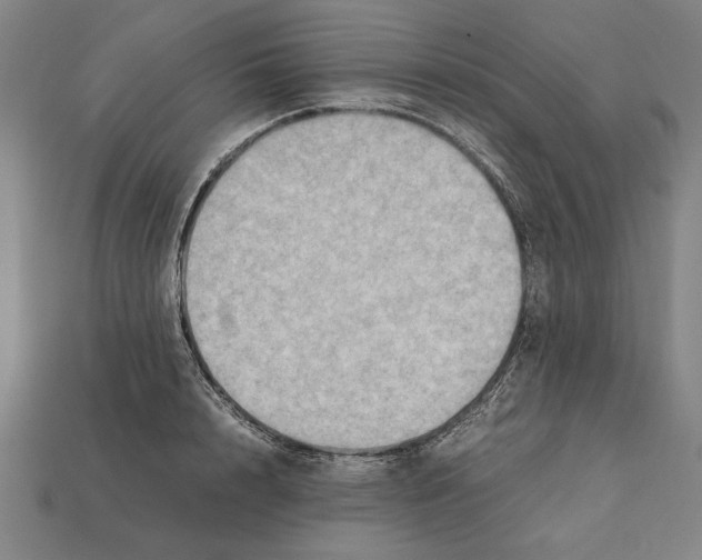 X0000112400848200909251434