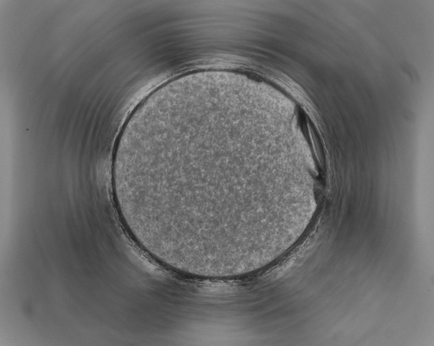 X0000112400850200909251434
