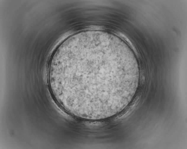 X0000112400851200909251434
