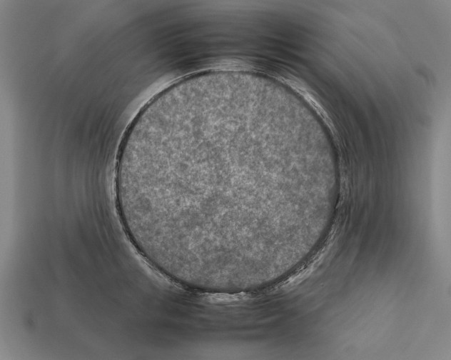 X0000112400853200909251434