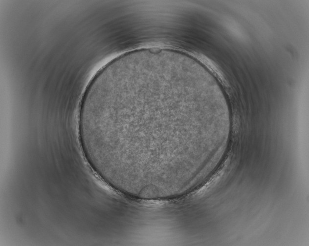 X0000112400854200909251434
