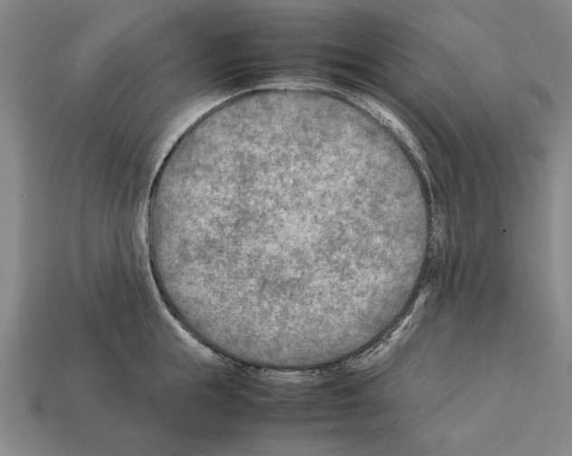 X0000112400855200909251434