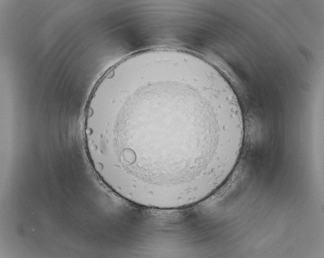 X0000112400856200909251434