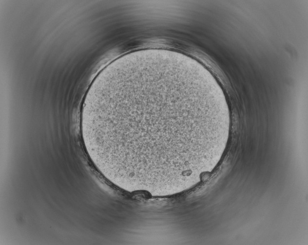 X0000112400858200909251434