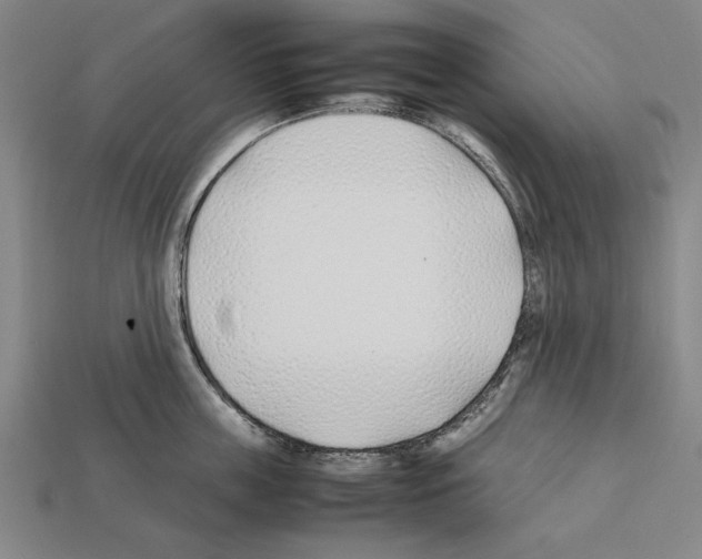 X0000112400859200909251434