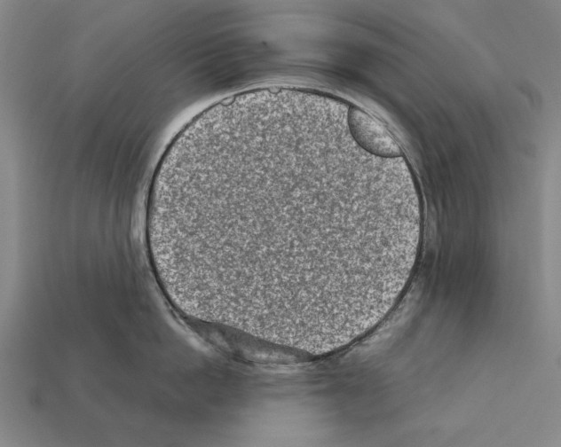 X0000112400862200909251434
