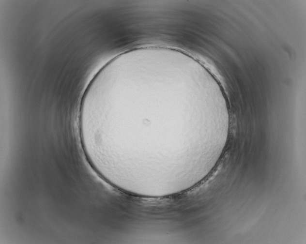 X0000112400863200909251434