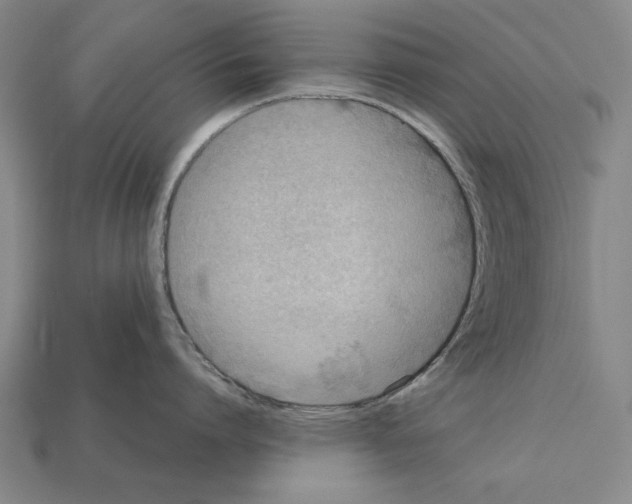 X0000112400864200909251434