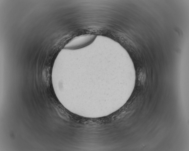 X0000112400868200909251434