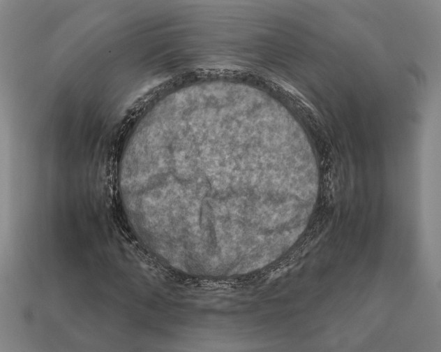 X0000112400870200909251434