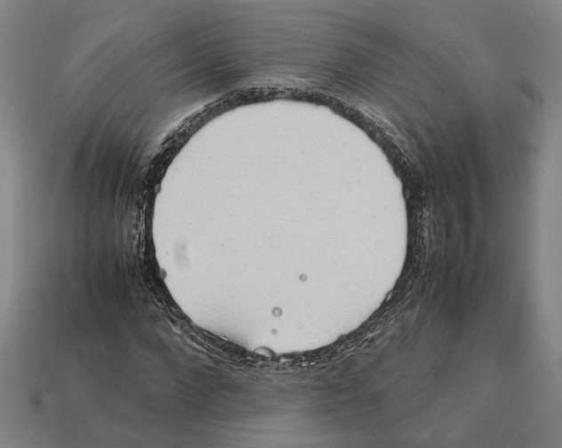 X0000112400872200909251434