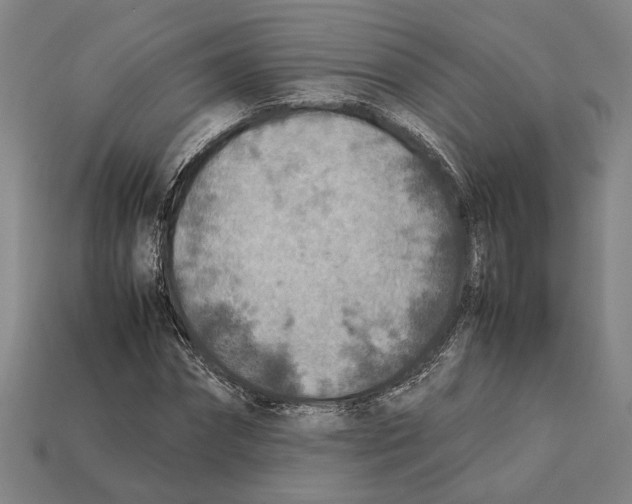 X0000112400874200909251434
