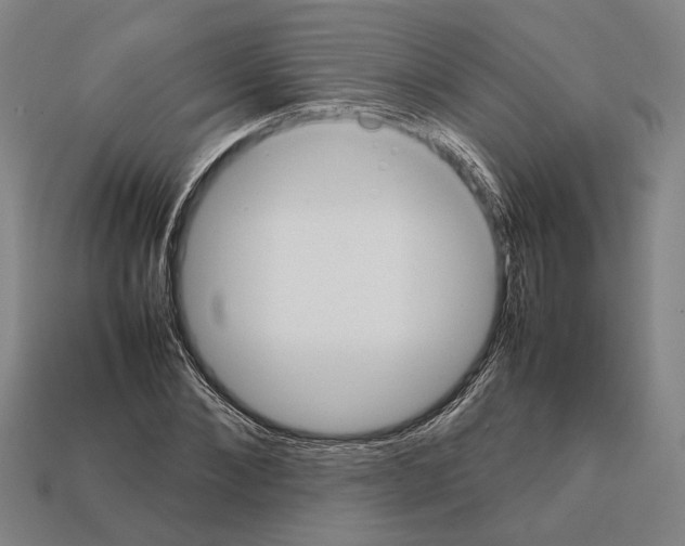 X0000112400876200909251434