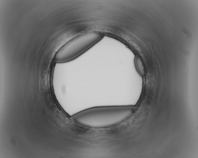 X0000112400877200909251434