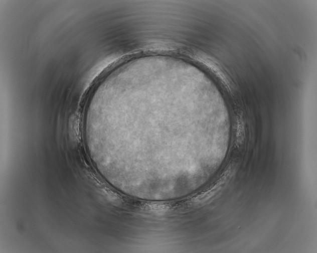 X0000112400878200909251434