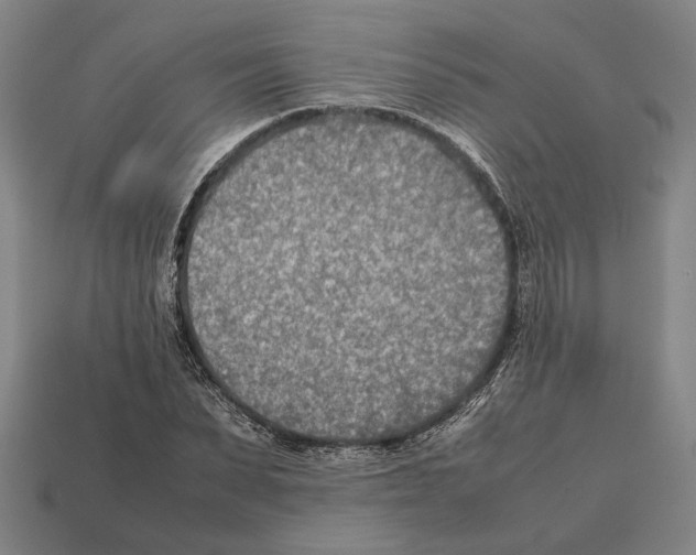 X0000112400879200909251434