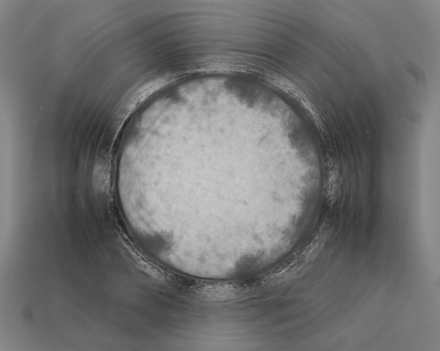 X0000112400882200909251433