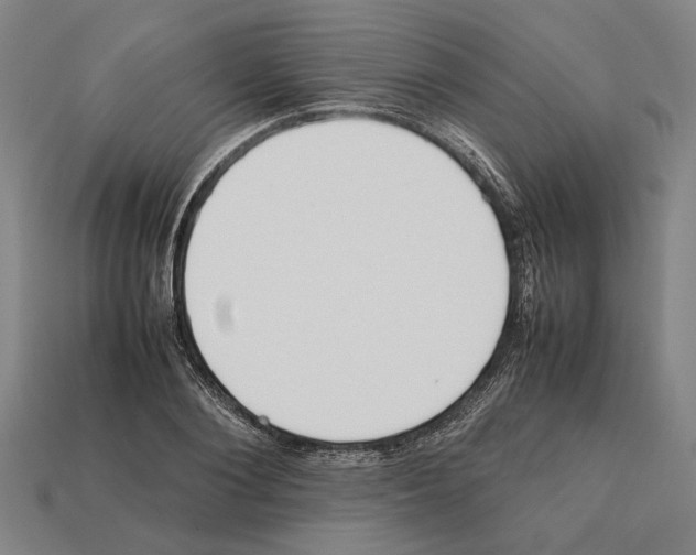 X0000112400884200909251433