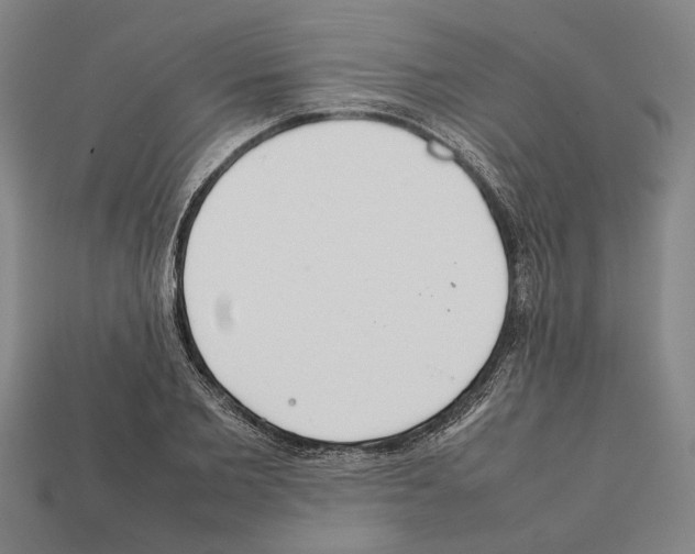 X0000112400885200909251433