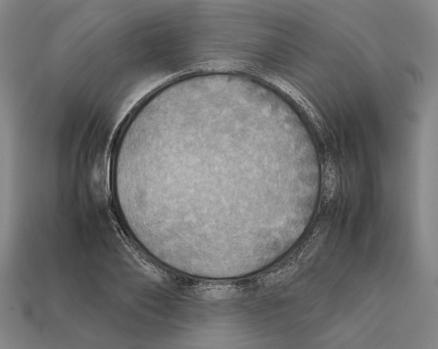 X0000112400886200909251433