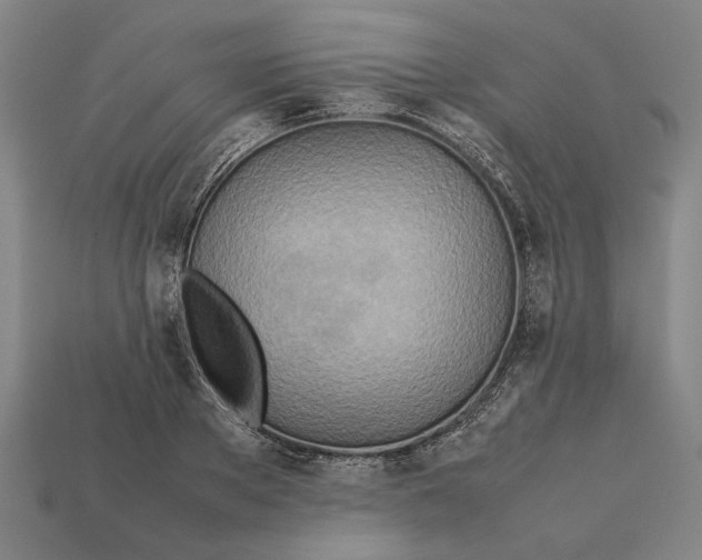 X0000112400889200909251433