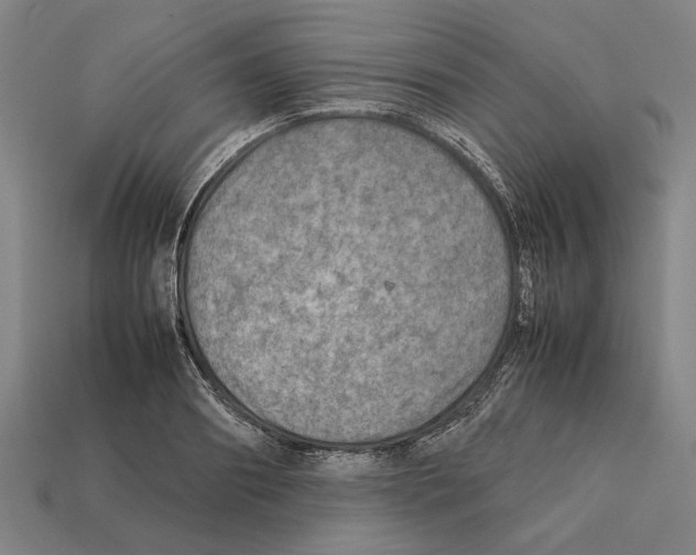 X0000112400890200909251433