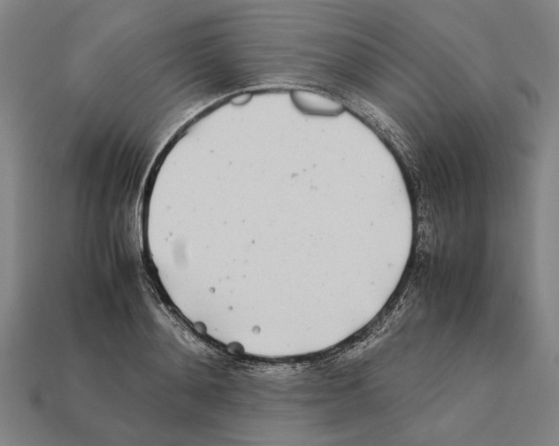 X0000112400892200909251433