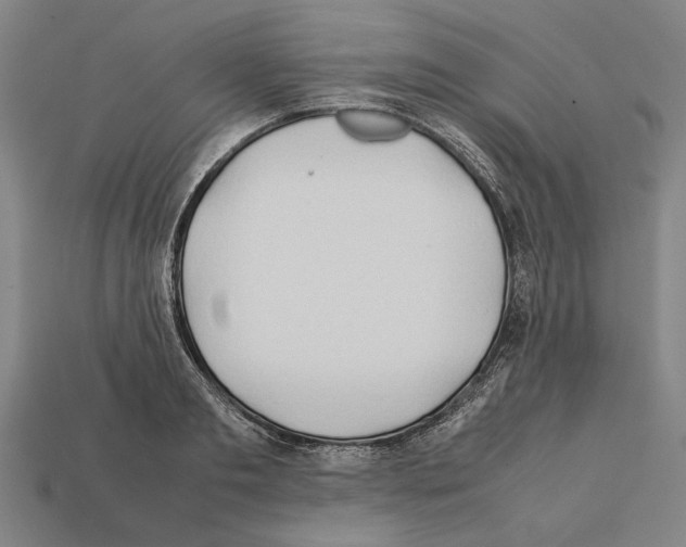 X0000112400893200909251433