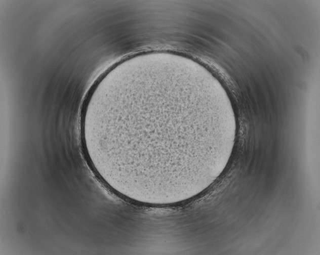 X0000112400894200909251433