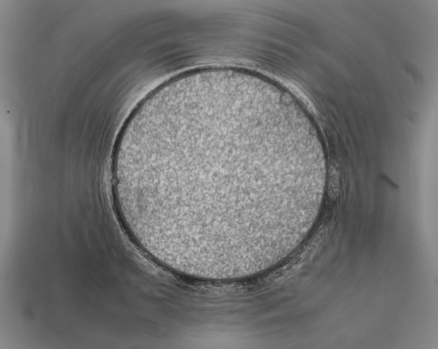 X0000112400895200909251433