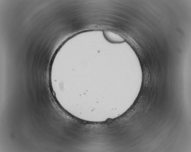 X0000112400896200909251433